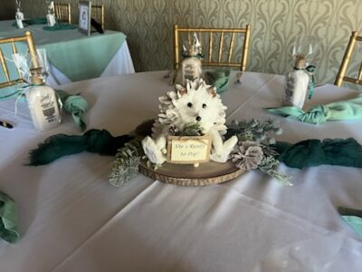 baby shower decor