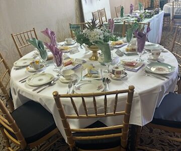 bride to be backdrop and decor